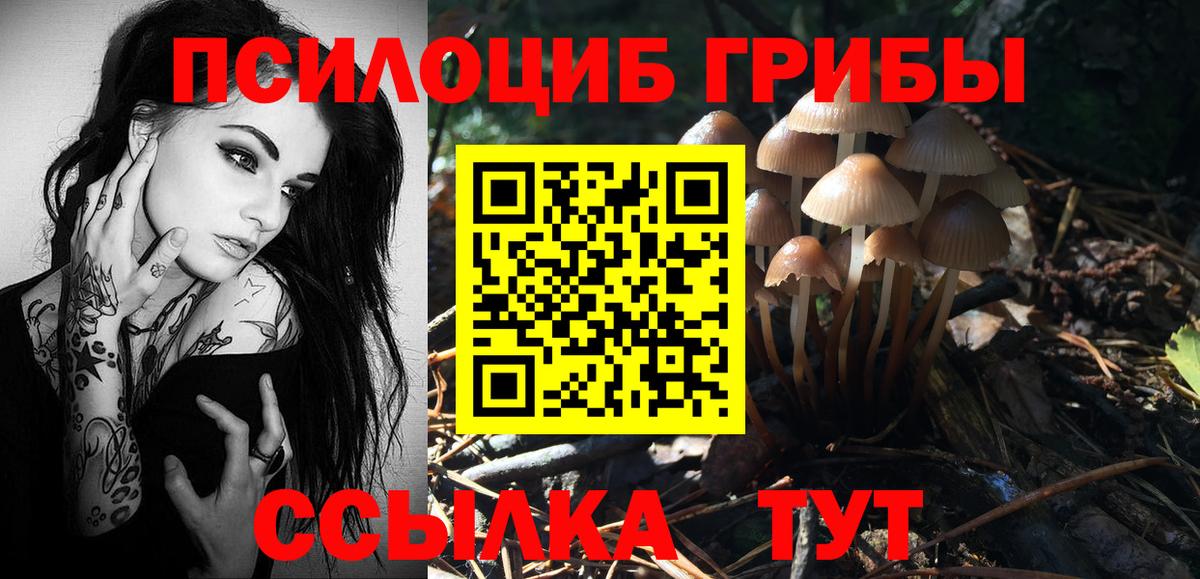 Псилоцибиновые грибы Psilocybe Лабытнанги